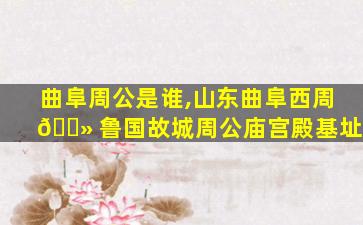 曲阜周公是谁,山东曲阜西周 🌻 鲁国故城周公庙宫殿基址